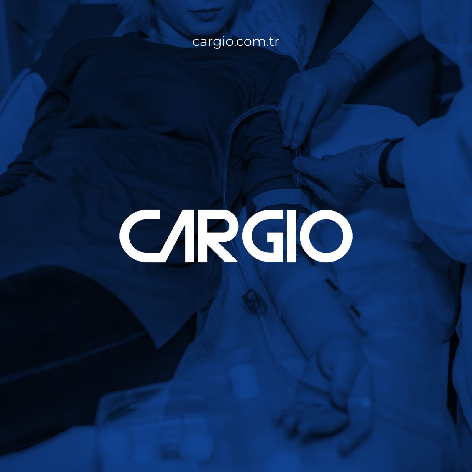 Cargio Web Sitesi Tasarımı