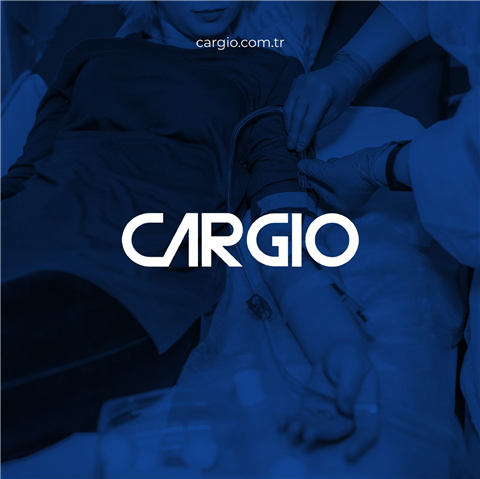 Cargio Web Sitesi Tasarımı